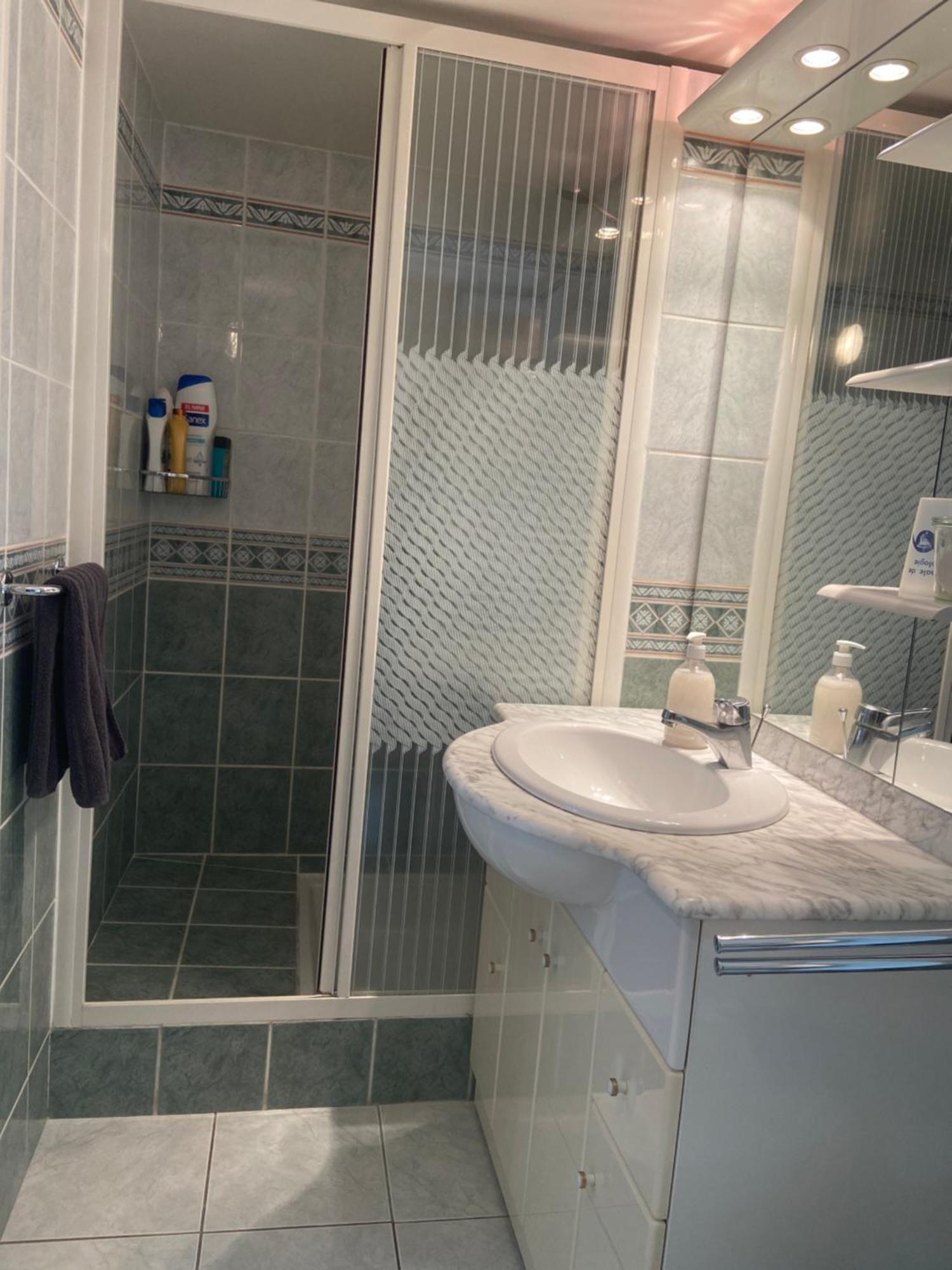 Sweet Home - 55M2 Appartment, Garden, Swimming Pool, Parking Toulouse Exterior photo